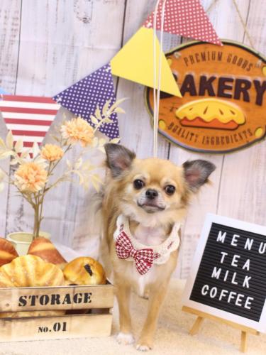 20240908れおくん